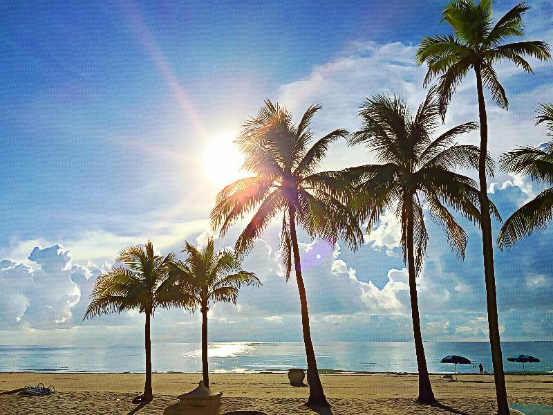 Hollywood Beach Marriott Экстерьер фото
