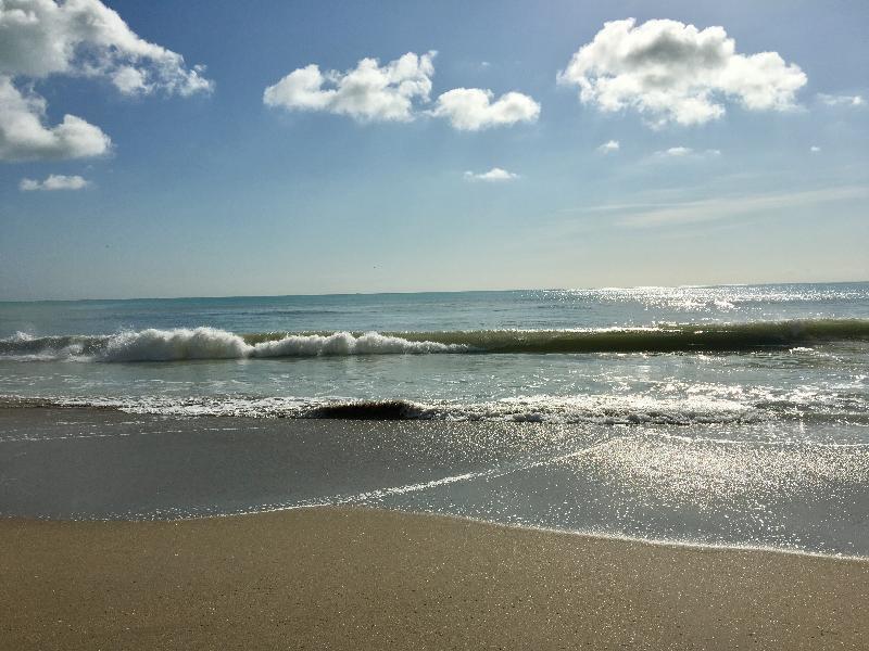 Отель Hollywood Beach Marriott Экстерьер фото